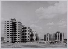 gouden leeuw bijna af